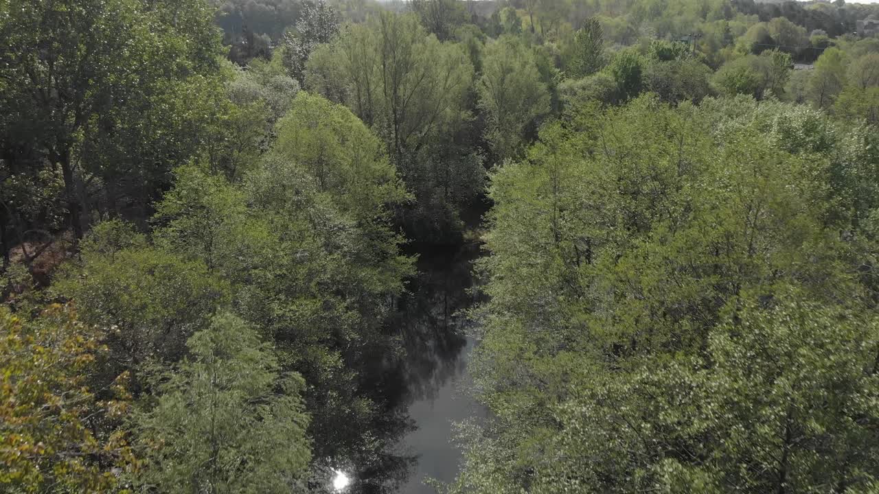 Aerial drone clip over the trees and a river in the countryside of Thetford in England
