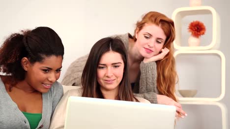 contenido mujeres tranquilas usando computadora portátil mientras están sentadas en el sofá