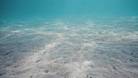 Schwimmen-Sie-Durch-Das-Wunderschöne-Blaue-Meerwasser-Mit-Sandboden,-Während-Lichtstrahlen-Auf-Der-Oberfläche-Reflektiert-Werden