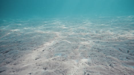 swim through beautiful blue ocean water with sandy bottom as light beams reflect on surface