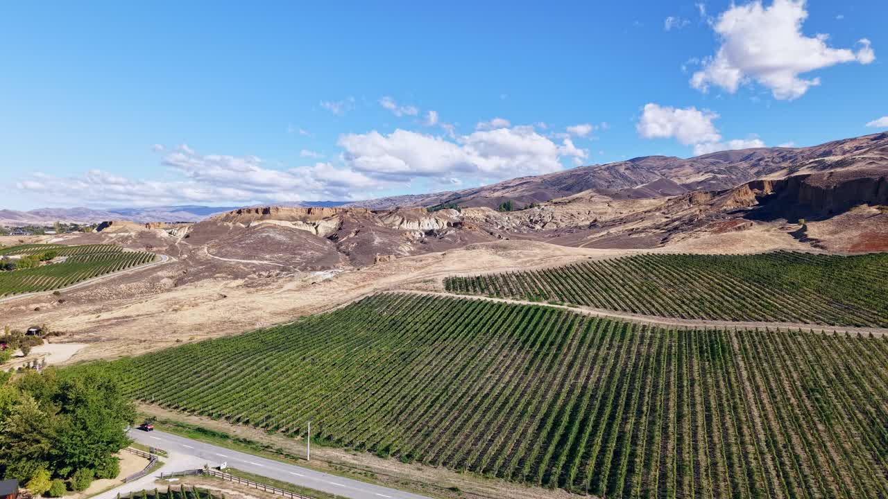 Aerial drone clip soaring gently above a green vineyard in Cromwell, New Zealand, highlighting the frost turbine among the vines