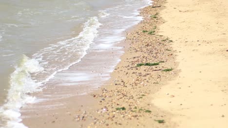 Wellen,-Die-Auf-Einen-Sandigen-Und-Felsigen-Strand-Krachen-1