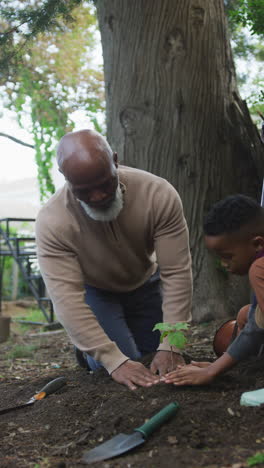 video vertical de un feliz anciano afroamericano y su nieto plantando en el jardín
