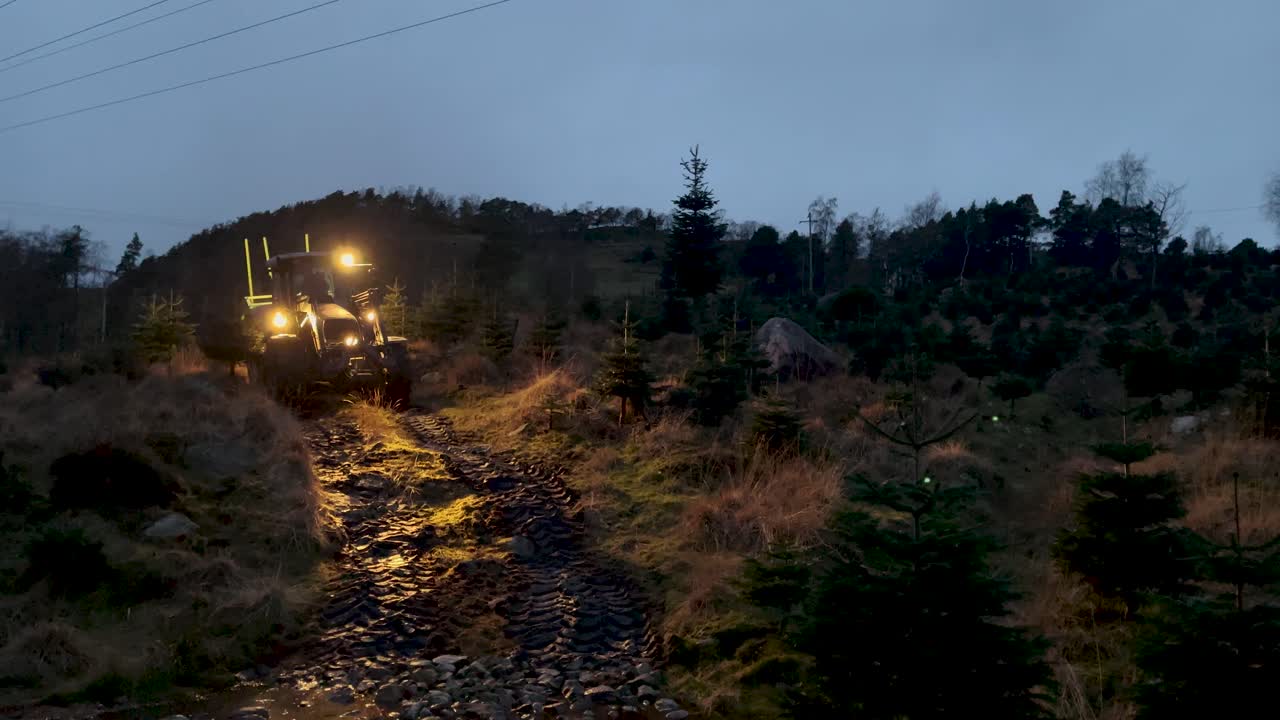 Tractor Driving Through a Christmas Tree Farm at Night