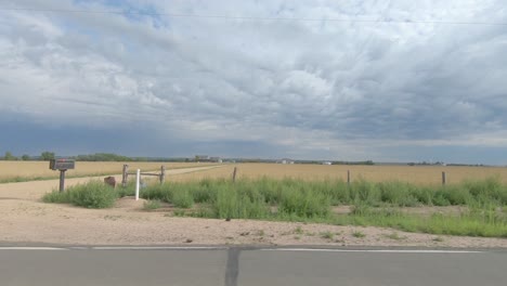 fields of crops are visible in this drive by tour of rural america