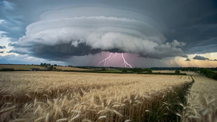 Nube a mensola rotante che reagisce a fulmini interni, emettendo scariche ramificate sopra un sentiero di grano e fienili.