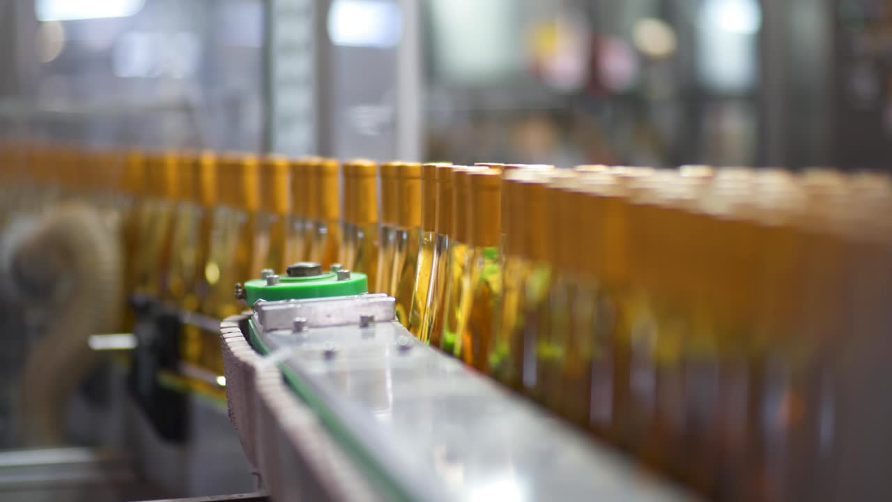 Rows of wine bottles moving through the conveyor belt for one of the last steps of mass production at a winery, the packaging machine