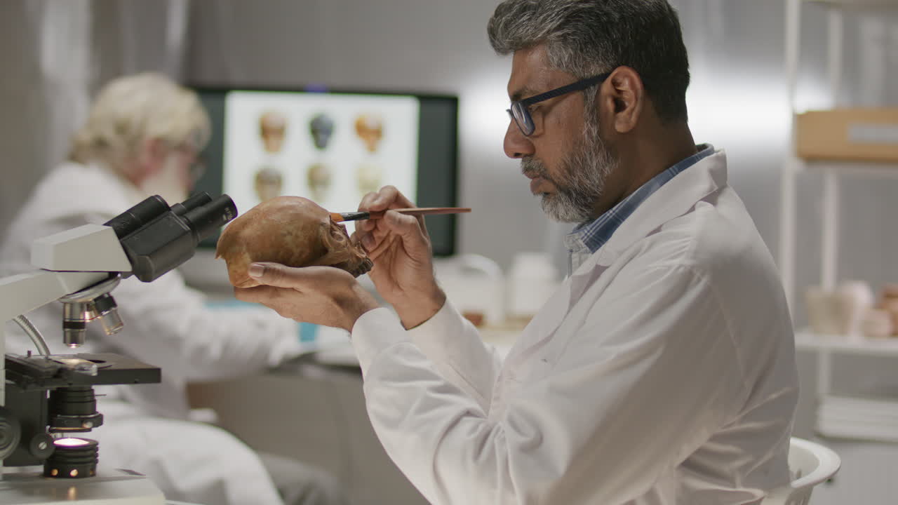 Focused Archaeologist Using Brush to Clean Skull at Work in Laboratory