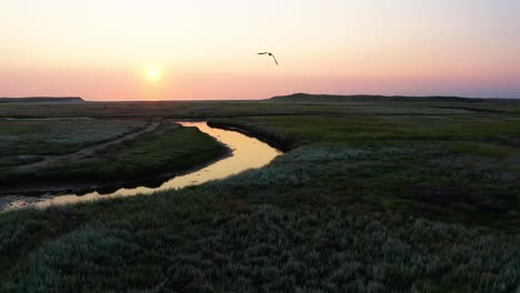 Aerial-drone-pull-back-on-pink-sunset-over-Texel-island-slufter-dune,-salt-water-swamp-with-birds-flight-in-the-air,-Netherlands