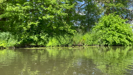 Tiro-A-La-Deriva-A-Lo-Largo-De-Un-Río-Tranquilo,-En-Un-Brillante-Día-De-Verano