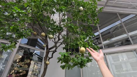 mano colgando una bola de oro en un árbol.