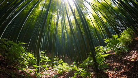 sunlight filtering through a vibrant bamboo forest