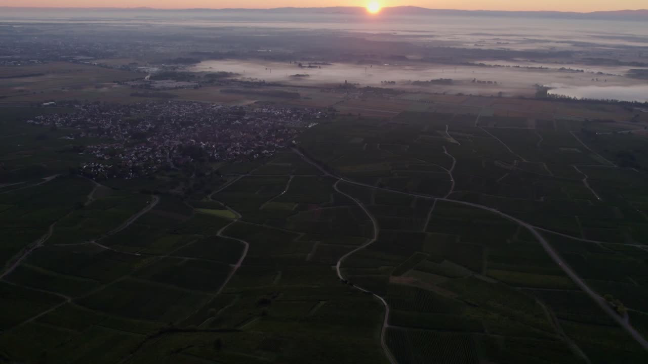 Tåget solopgang over Eguisheims vinmarker, fredfyldt landevejsscene