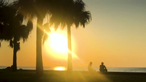 Lapso-De-Tiempo-De-Palmera-Y-Gente-Cerca-De-La-Playa