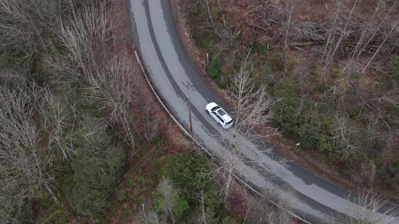 Suv car driving on rural road through forest