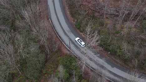 voiture suv conduite sur route rurale à travers la forêt