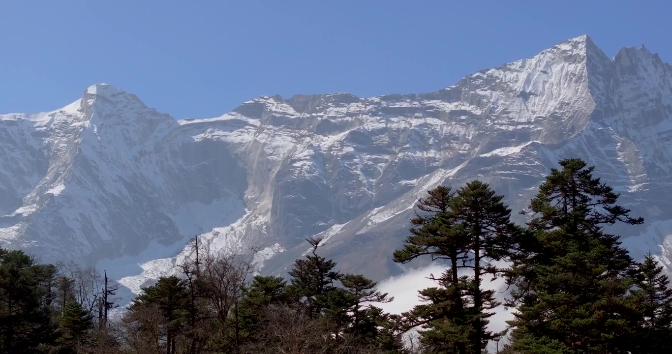 Everest-regionen Nepal, cinematisk drone-tilt op, der starter fra en frodig grøn alpeskov for at afsløre den massive sneklædte Himalaya-bjergkæde under en klar blå himmel.