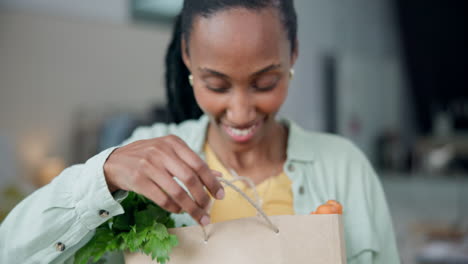 mujer negra, bolsa de papel y comestibles