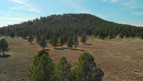 Acercamiento-Aéreo-En-Una-Colina-Boscosa