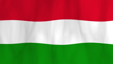 waving hungarian flag in motion