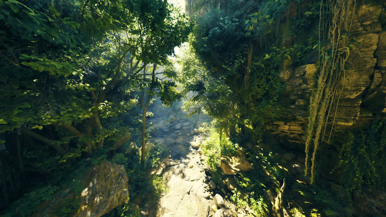 Lush green forest with rocky terrain and soft sunlight filtering through trees