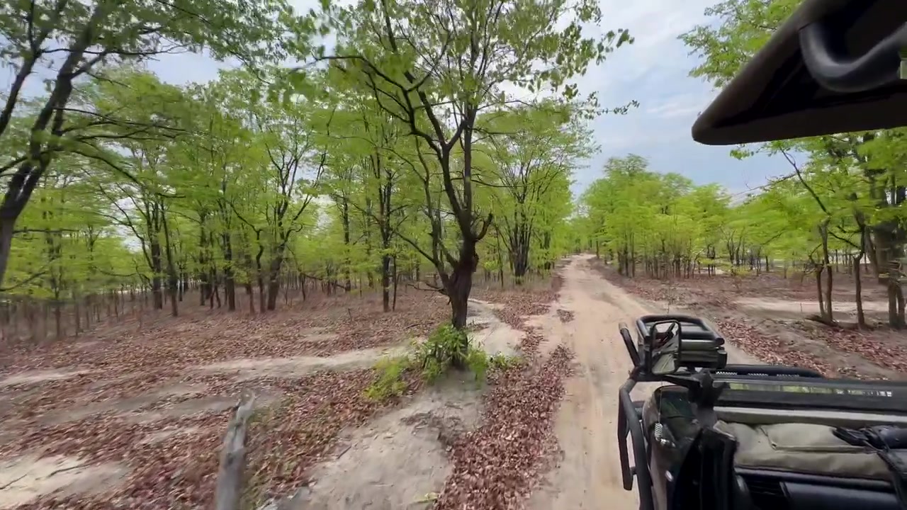 Veicolo da safari percorre un sentiero sabbioso circondato da alberi verdi nel Parco Nazionale di Liwonde, Malawi
