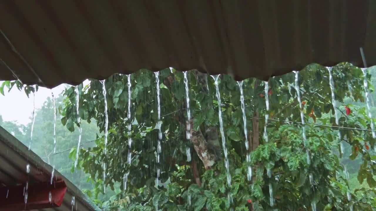 Heavy rain streaming from a tin roof during a tropical storm, monsoon season in The Philippines