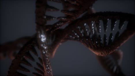 loop double helical structure of dna strand close-up animation