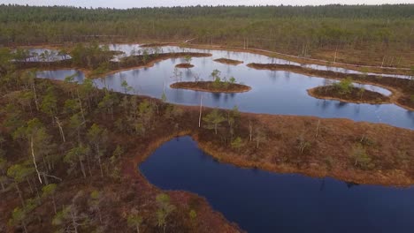 Rised-Bog-Vista-Aérea-De-Alto-Nivel-De-Agua-En-Otoño-En-Kemeri,-Latvis