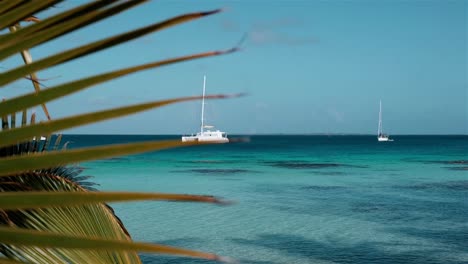 Sailing-yachts-at-anchor-in-an-idyllic-tropical-bay-with-palm-trees-blowing-in-the-breeze