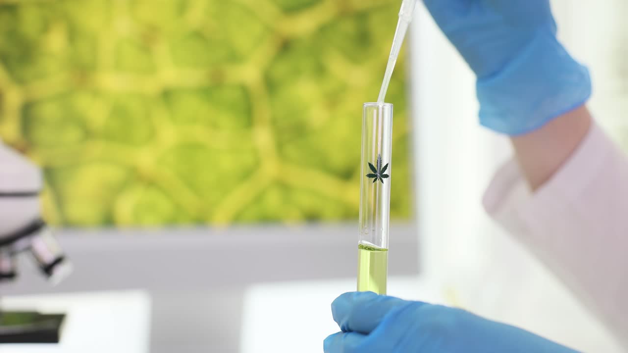 Scientist researching cannabis oil in a laboratory