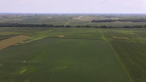 Aerial-Drone-Video-Of-Rich,-Green-Rural,-Agrarian-Agricultural-Farmland-Corn-And-Bean-Midwest-Heartland-Of-Iowa