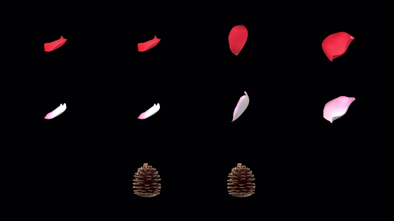 NATURE ELEMENT Petals Pinecone withAlpha. Looping elements that can be isolated as sprites to use as textures with an alpha channel.