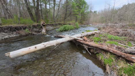 trout fishing stream in the beautiful catskill mountains during spring