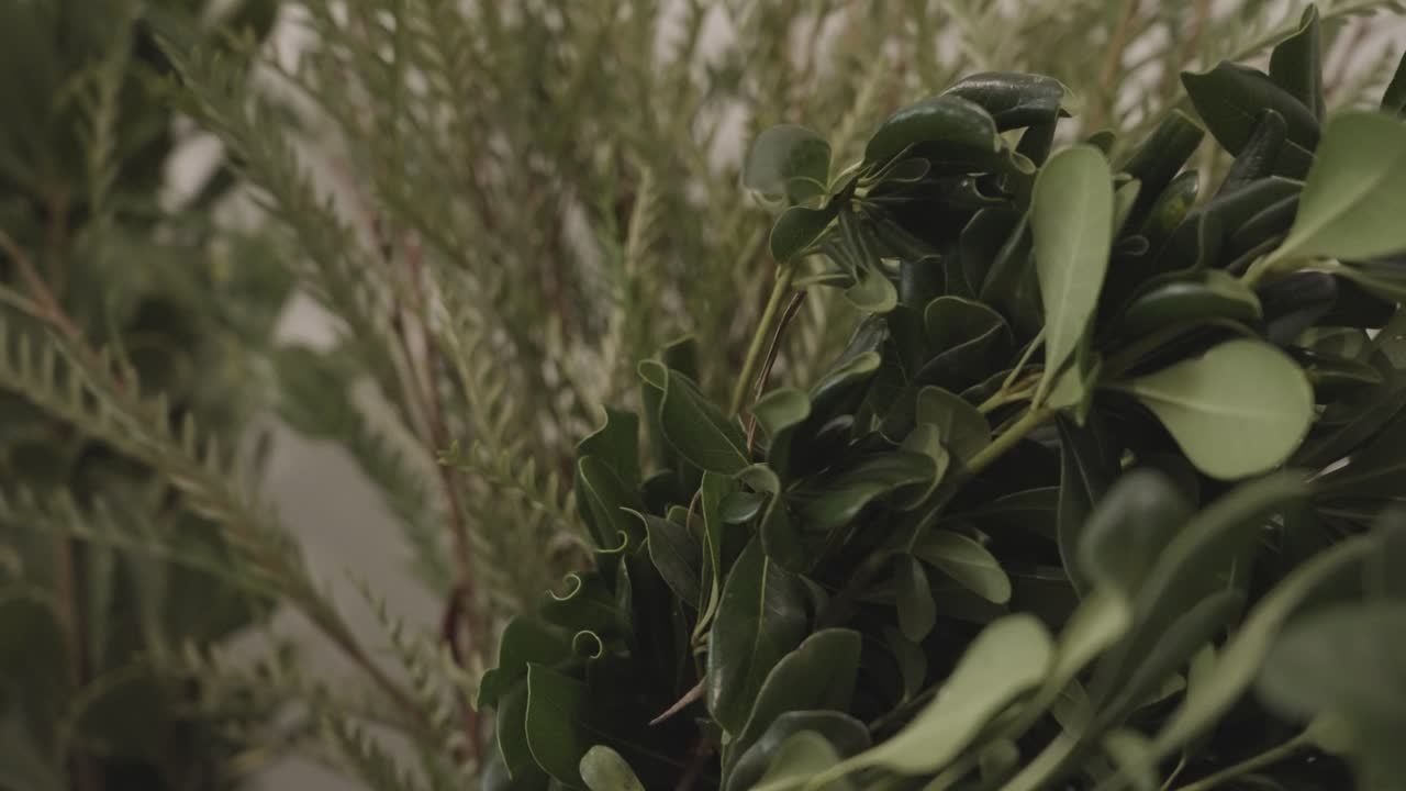 vegetación de floristería para arreglos de san valentín