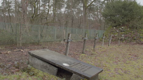 tilt down from trees to broken tomb at graveyard