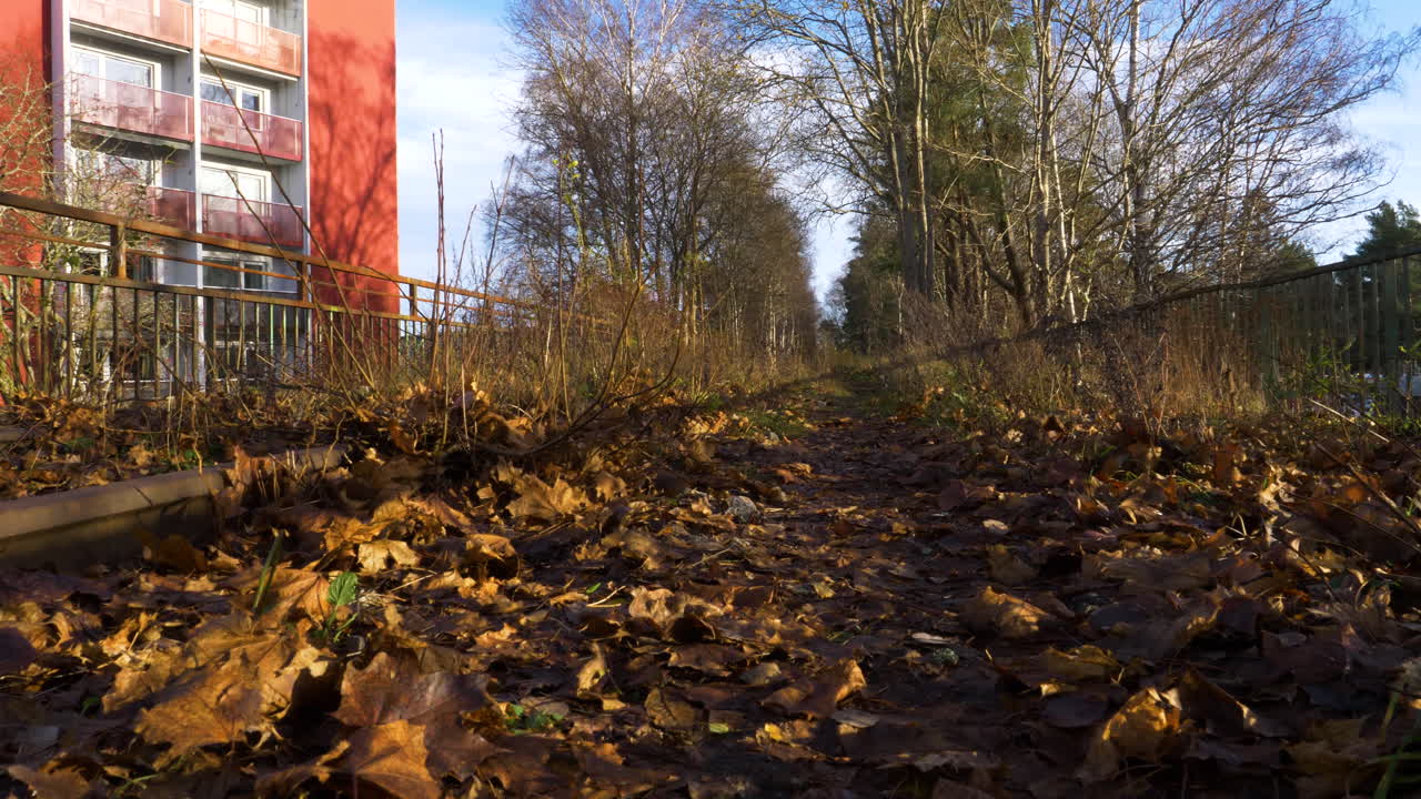 Dolly left shot of abandoned train track with dry leaves, autumn scene