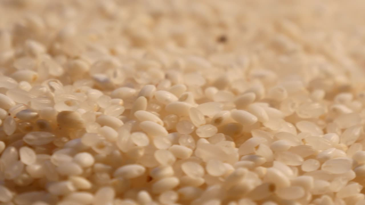 씨을 순환으로 뿌리는 것