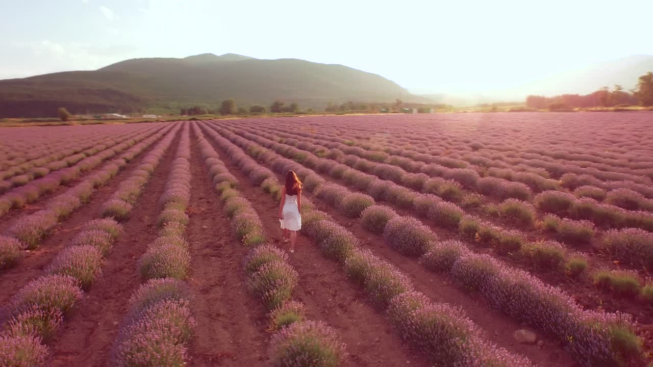 mujer caminando por un campo de lavanda al atardecer