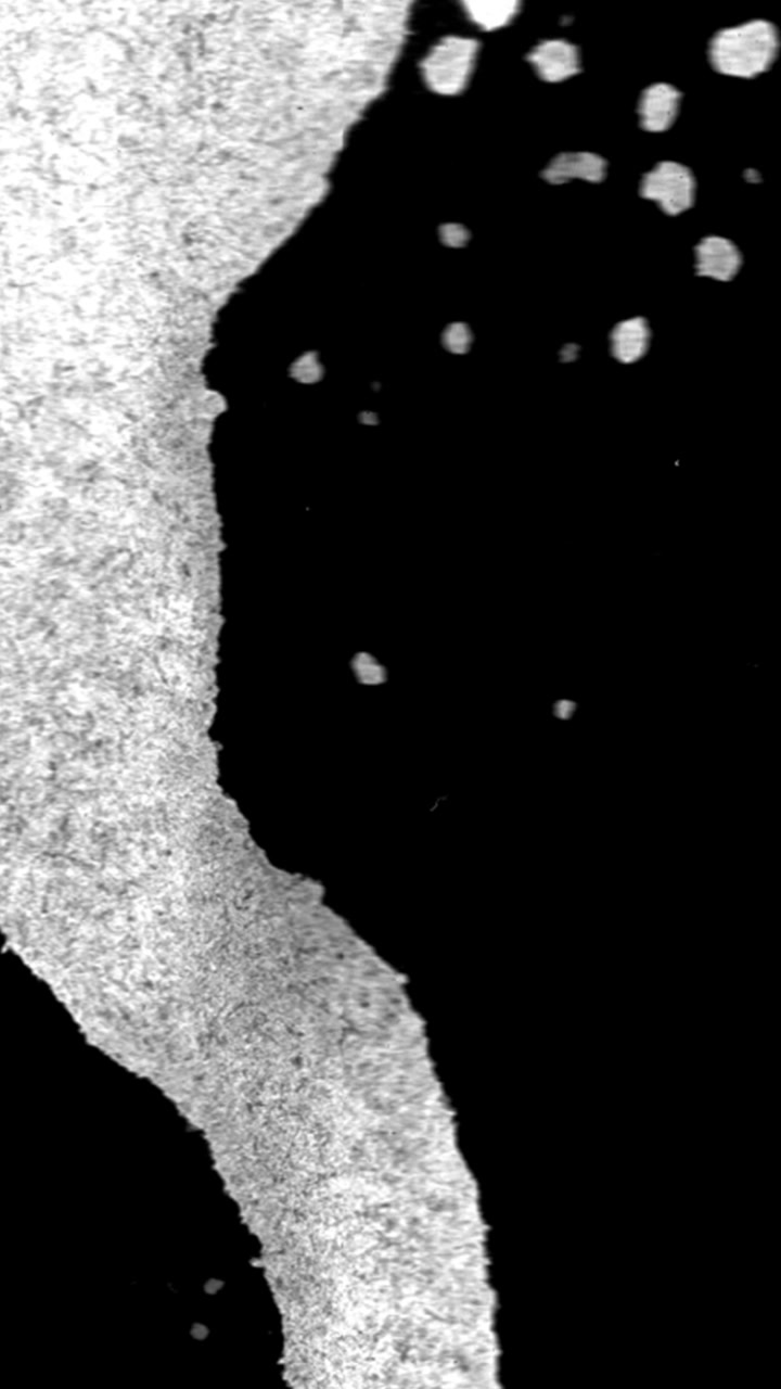 Transizioni astratte con schizzi d'inchiostro e pennellate su sfondo nero