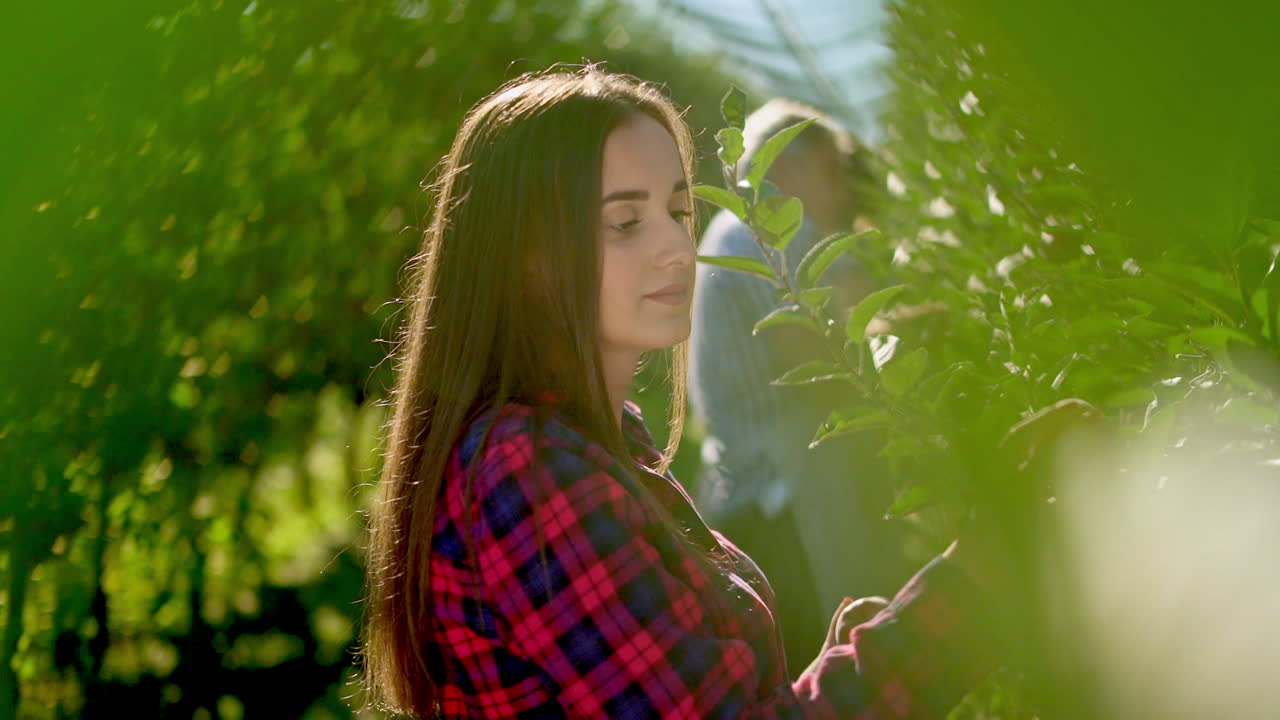 Young Woman and Man Working in an Apple Orchard