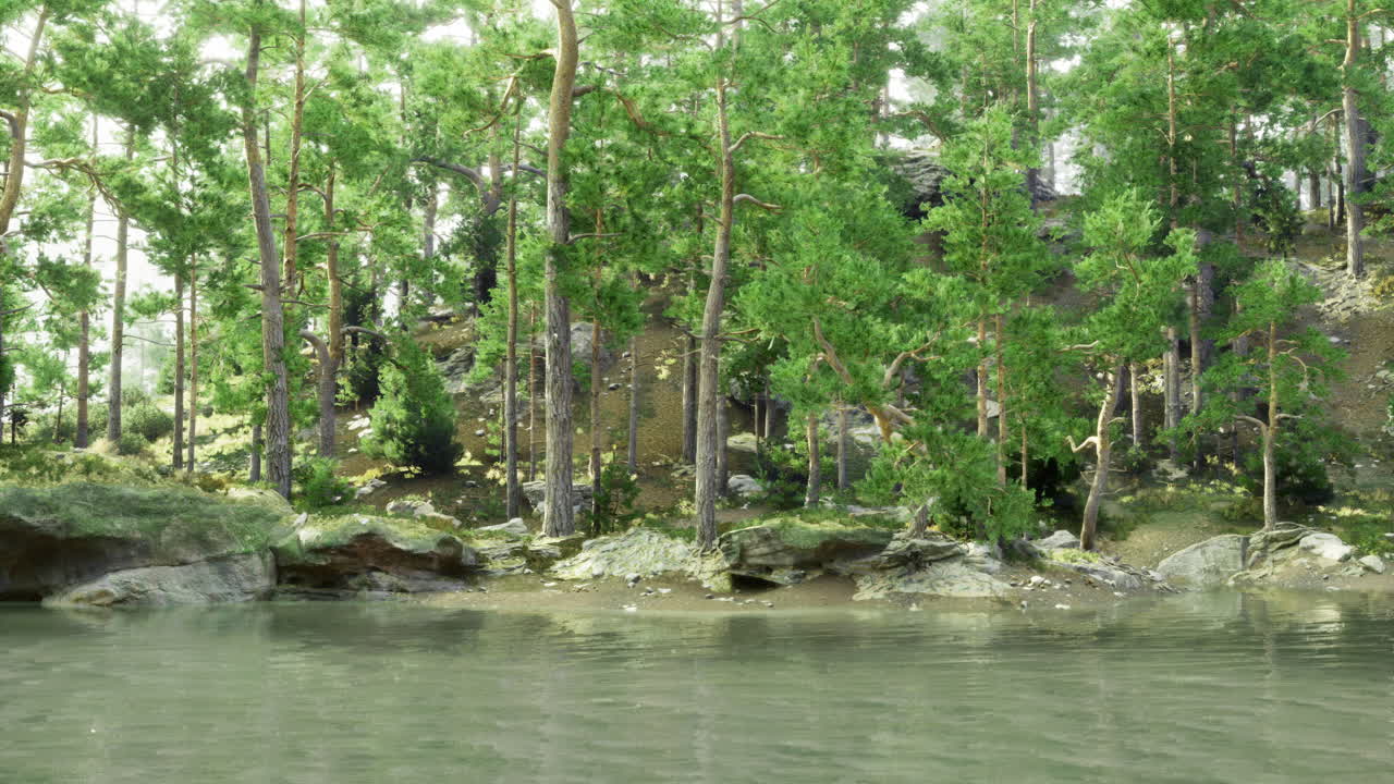 Forest landscape beside a calm lake during a sunny day in nature