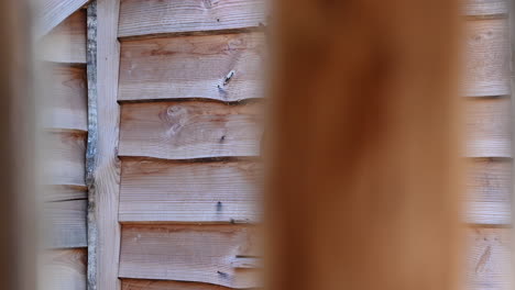 silhouette-of-a-deer,-cut-into-the-wooden-facade-of-a-perched-cabin