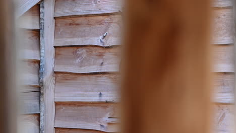 silueta de un ciervo, cortada en la fachada de madera de una cabaña encaramada