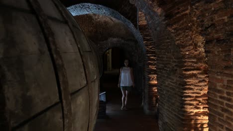 woman visiting a classic cellar-5