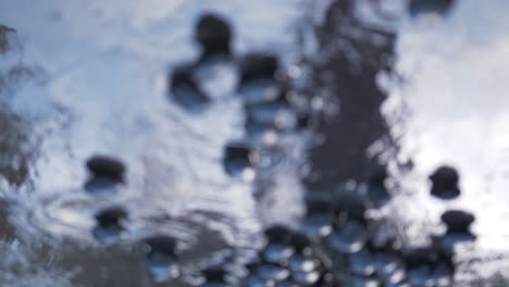 coal pouring out over reflection of lifeless trees in water