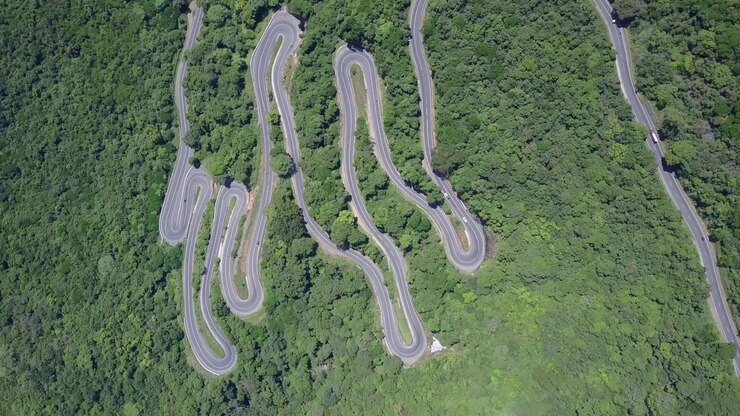 Veduta aerea dall'alto di una strada asfaltata che si snoda attraverso la fitta chioma verde di una foresta tropicale in Sri Lanka, con un singolo veicolo che viaggia attraverso la lussureggiante natura selvaggia in una giornata di sole splendente.