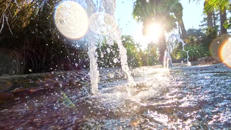 salpicaduras de agua de la fuente bajo la brillante luz del sol en el zoológico