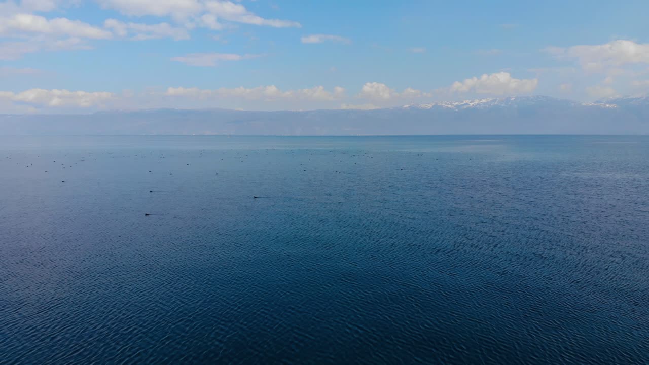 야생 조류가 날아다니는 평화로운 호수와 알바니아의 산 배경