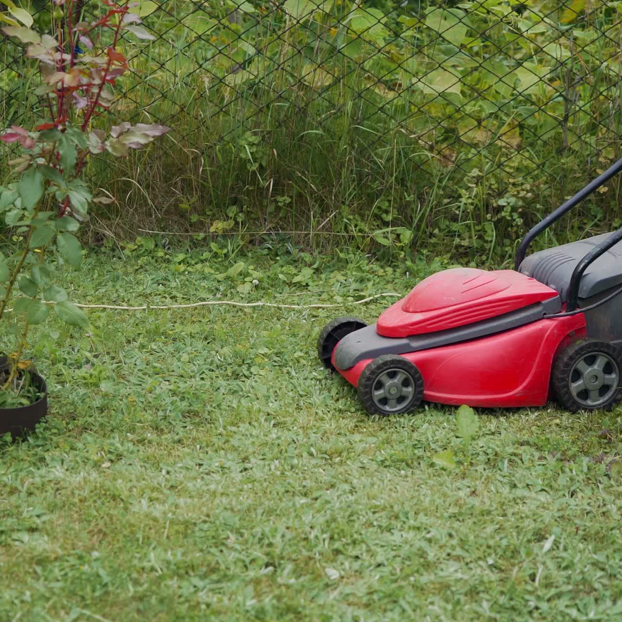 Close-up of mowing the lawn. Outdoor seasonal household works